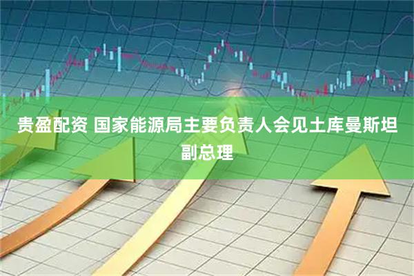 贵盈配资 国家能源局主要负责人会见土库曼斯坦副总理