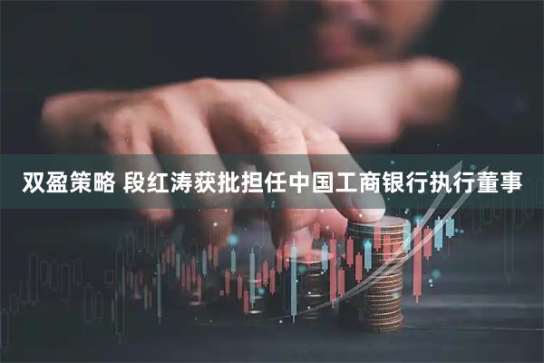 双盈策略 段红涛获批担任中国工商银行执行董事